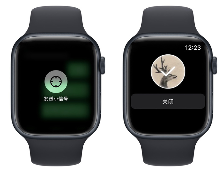 iwatch使用攻略（iwatchse需要ios15的系统吗）-18