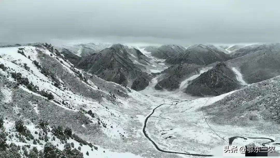 肃南7月飞雪压垮牧民帐篷，丹阳地表65℃蚂蚁3秒死亡，冰火两重天