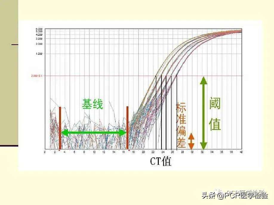 引物长度多少合适（关于PCR的扩增体系详解）