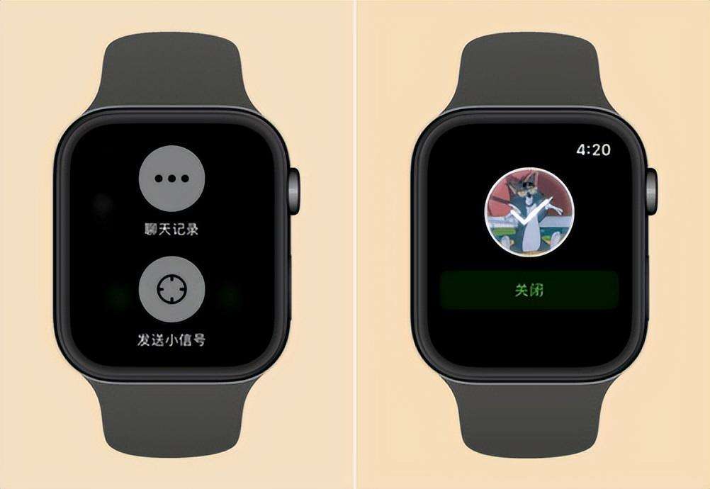 apple watch功能有哪些（Apple Watch实用功能分享）