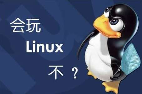 linux查看目录命令详解（Linux中一个快速查找文件和目录的命令）