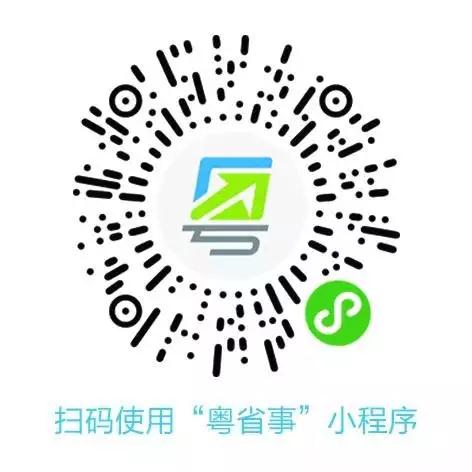 陆河县数据和政务服务局最新新闻动态解析