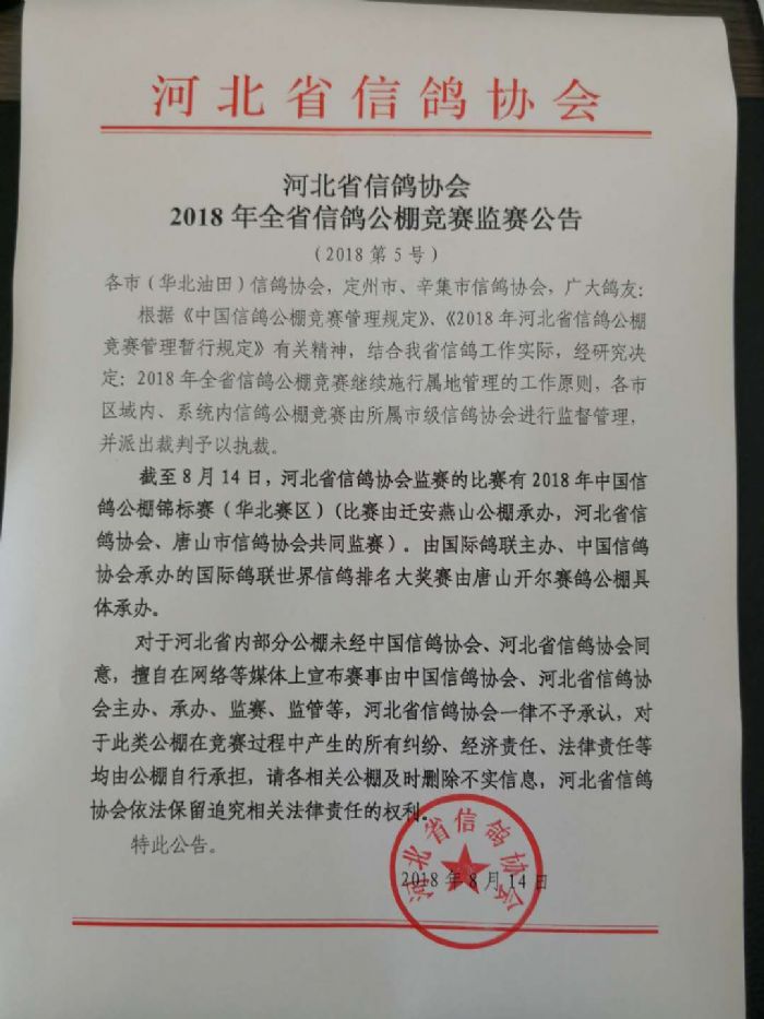 万博公棚最新公告深度解析