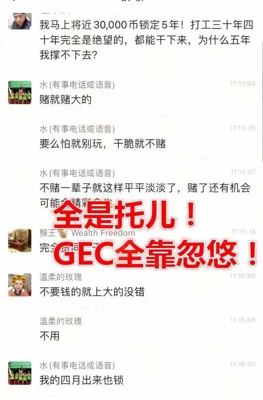 GEC环保币最新动态，绿色生态未来展望