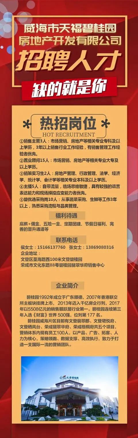 威海信息港最新招聘动态，职业发展的新契机探索