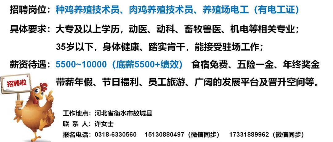 淄川招聘网最新招聘动态全面解析