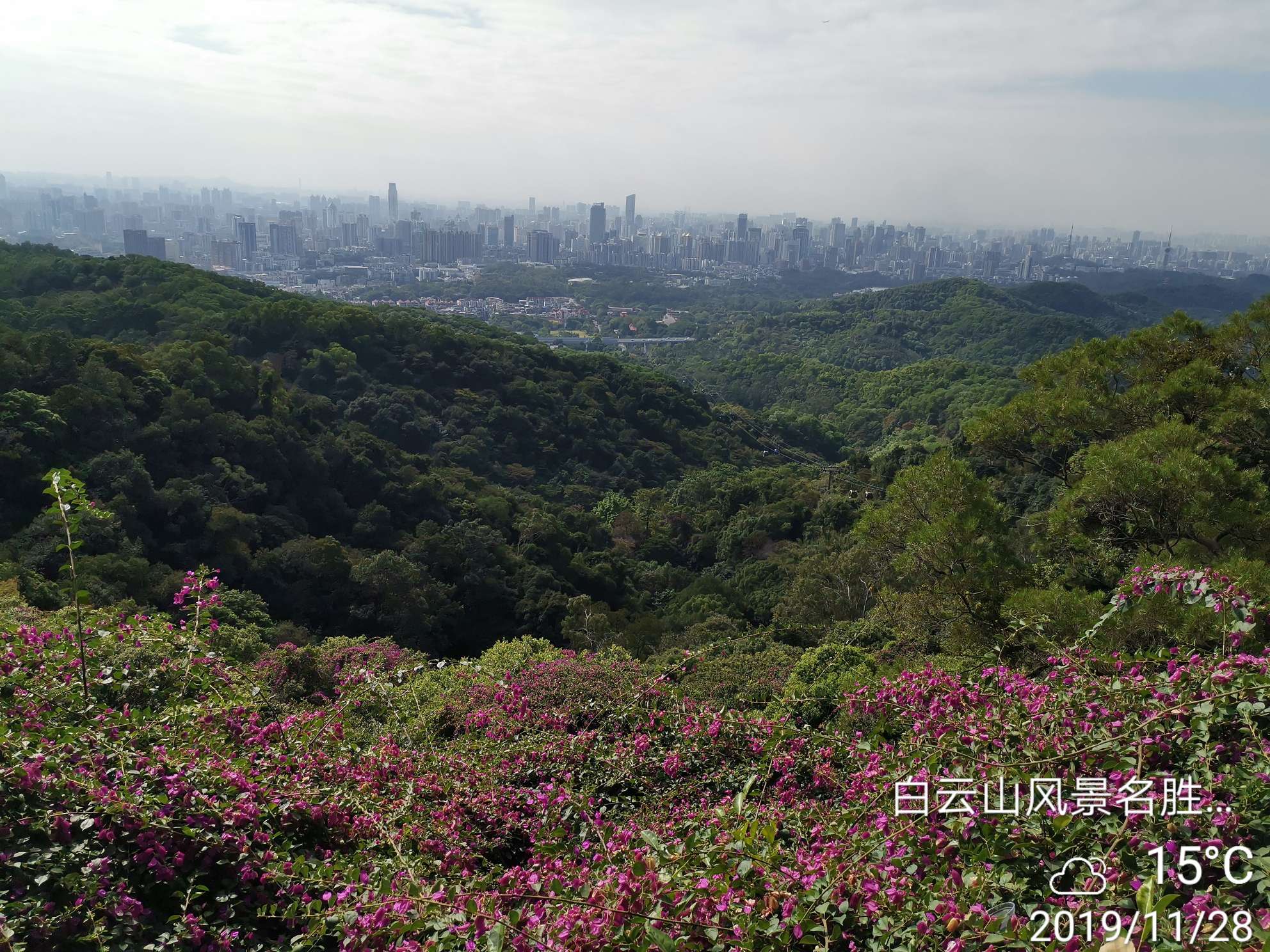 白云山发展最新动态及未来展望