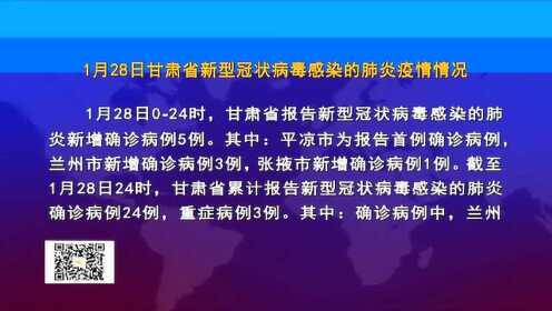 甘肃疫情最新分析报告概况