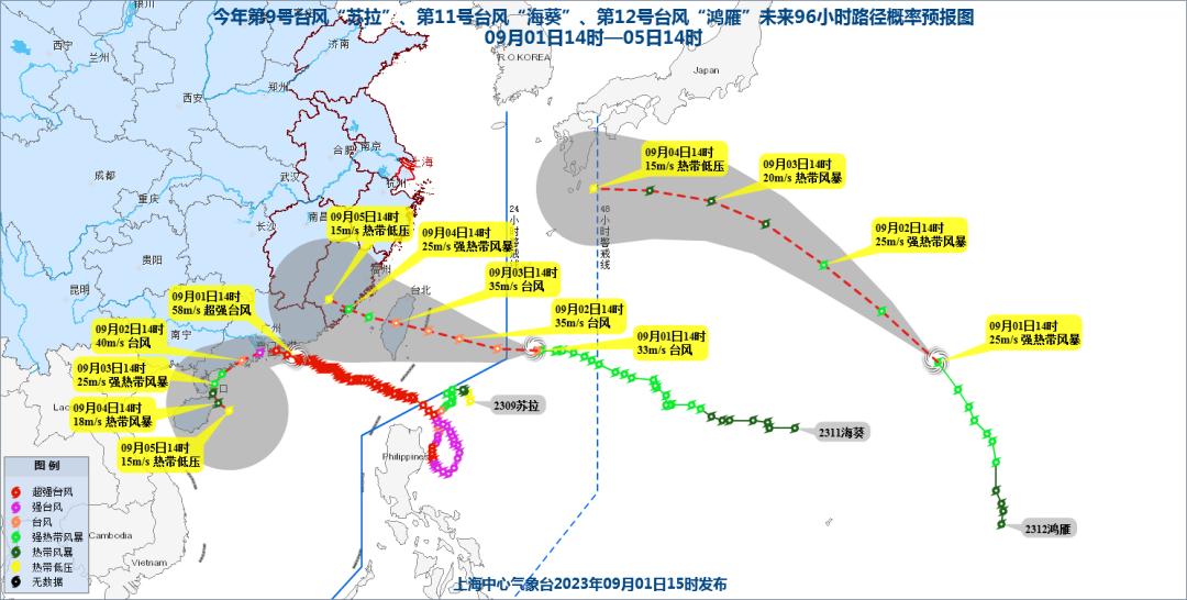 台风路径实时更新，掌握动态，确保安全