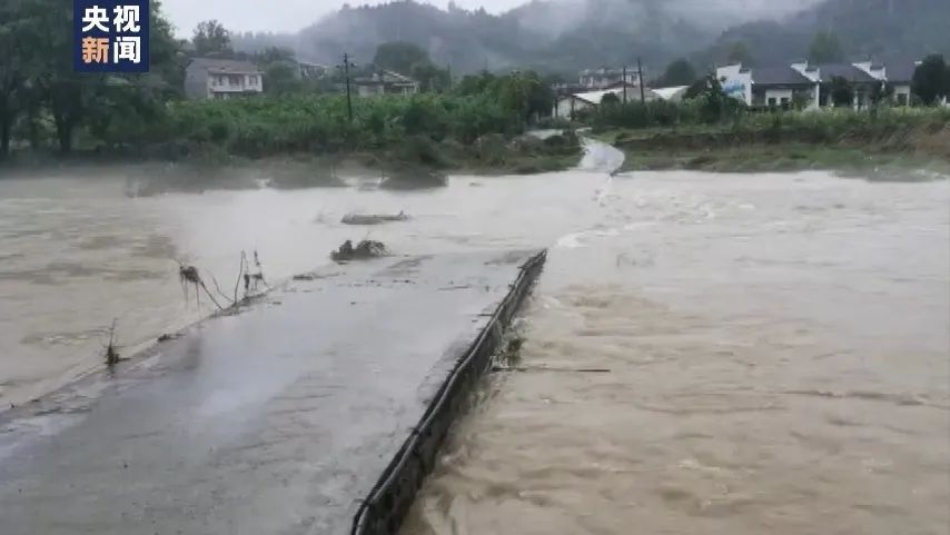 洪水最新动态，各地灾情现状与应对策略