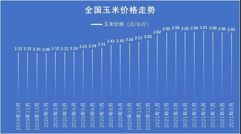 四川玉米价格最新行情解析