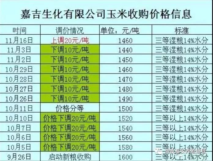 玉米最新价格行情解析