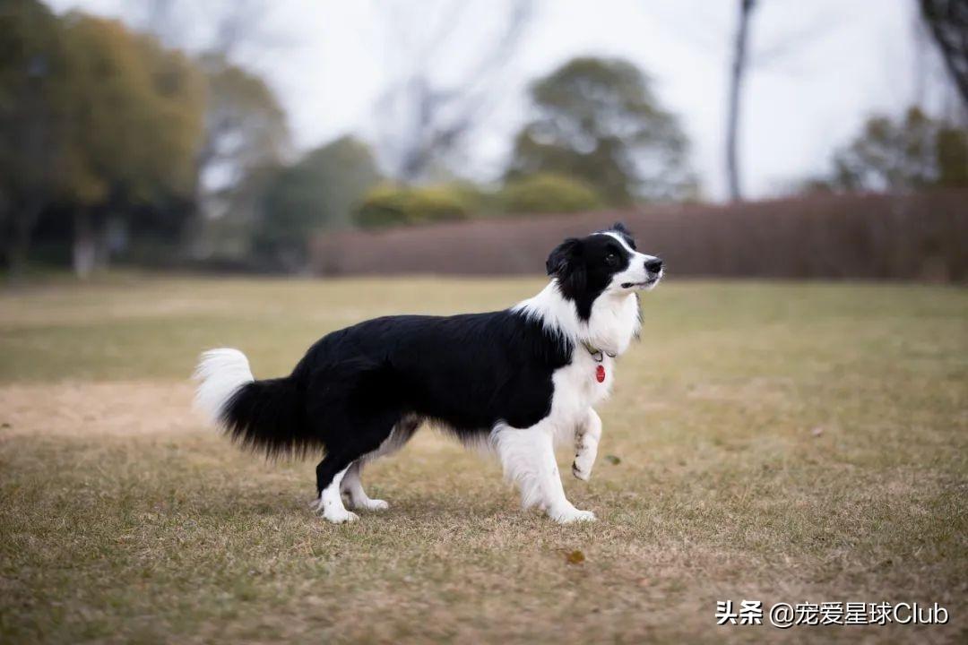 黑白格子控°