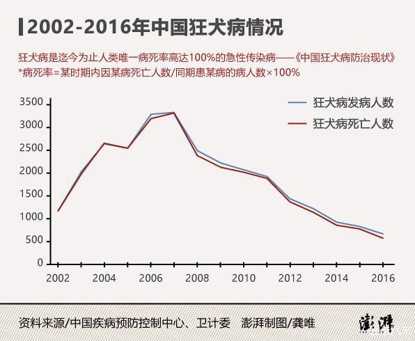 美国狂犬病研究的最新进展概览