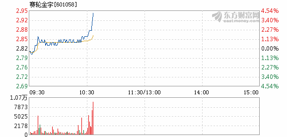 赛轮金宇股票最新消息全面深度解析