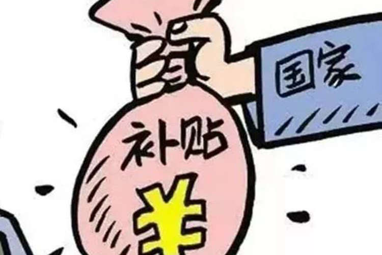 解析新政，把握未来发展趋势的战略蓝图