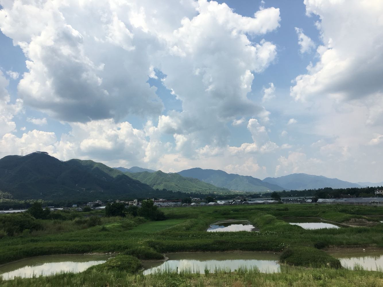 清湾镇天气预报更新通知